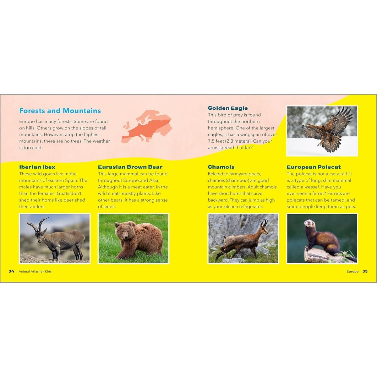 Animal Atlas for Kids: A Visual Journey of Wildlife from Around the World