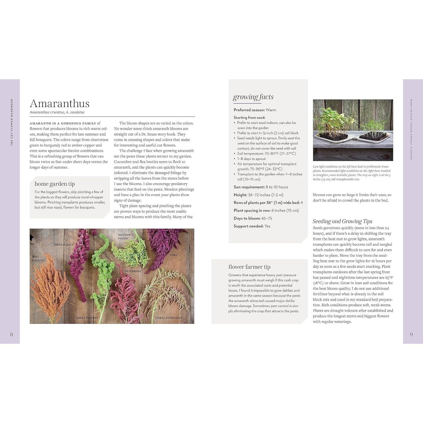 The Cut Flower Handbook: Select, Plant, Grow, and Harvest Gorgeous Blooms