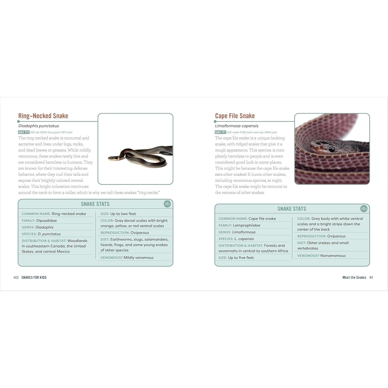 Snakes for Kids: A Junior Scientist's Guide to Venom, Scales, and Life in the Wild (Junior Scientists)