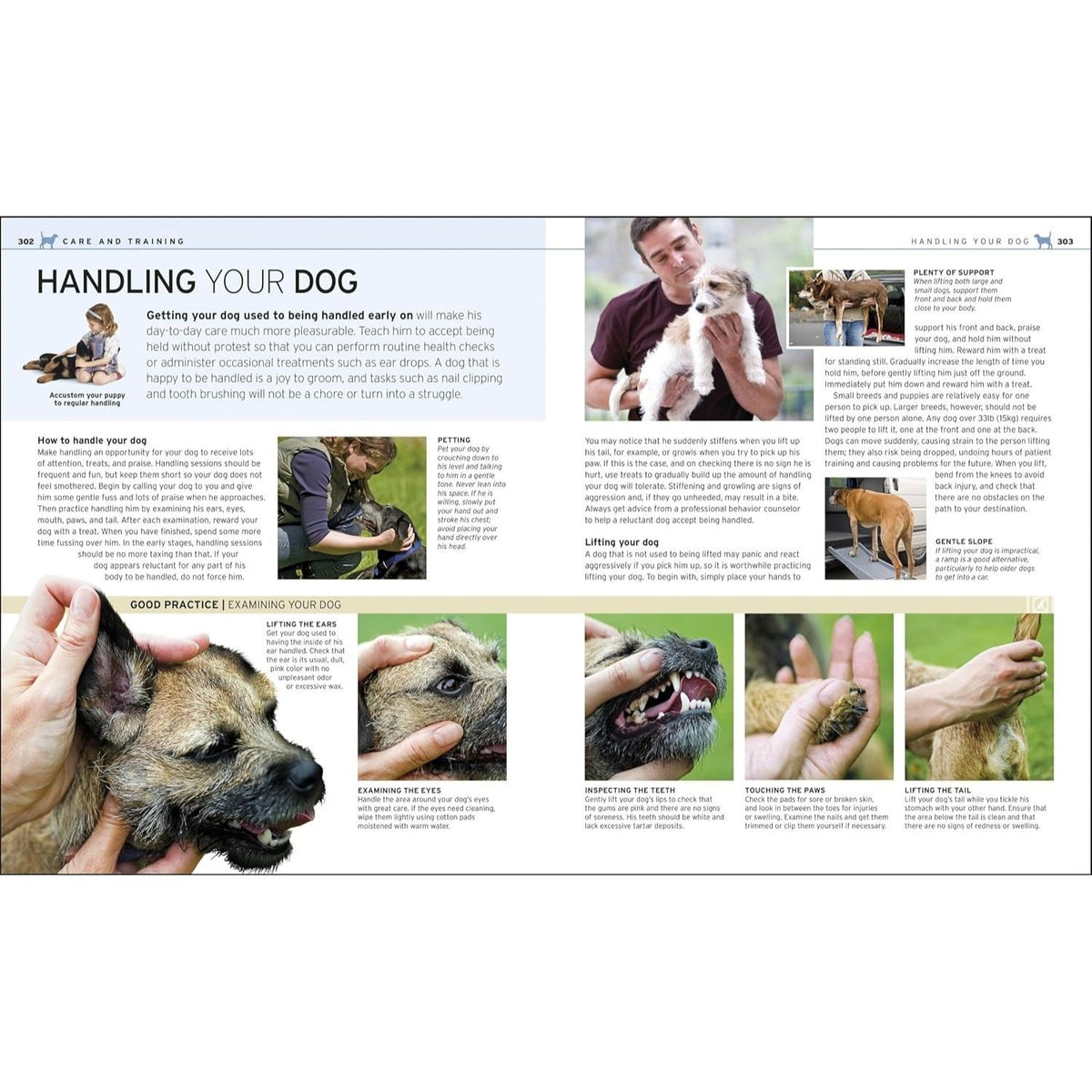 The Complete Dog Breed Book, New Edition (Previously Published as Top Dog) (DK Definitive Pet Breed Guides) (Spiral Bound)