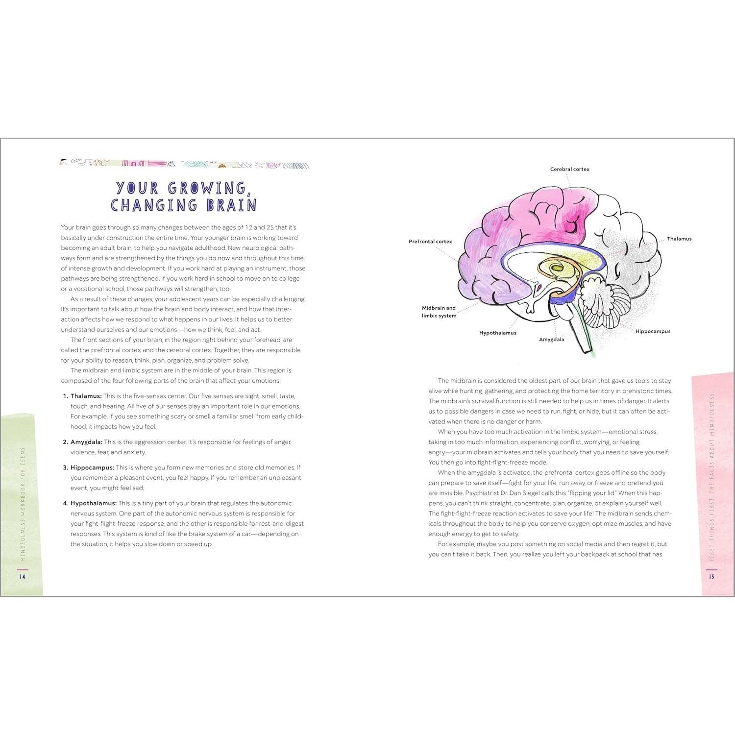 Mindfulness Workbook for Teens: Exercises and Tools to Handle Stress, Find Focus, and Thrive