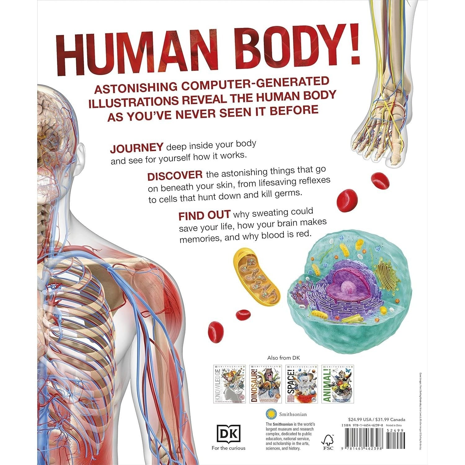 Knowledge Encyclopedia Human Body!