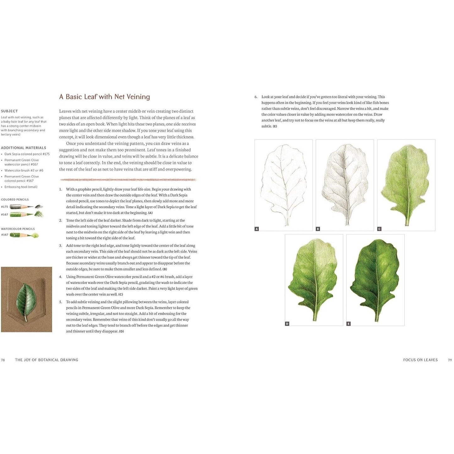 The Joy of Botanical Drawing: A Step-By-Step Guide to Drawing and Painting Flowers, Leaves, Fruit, and More