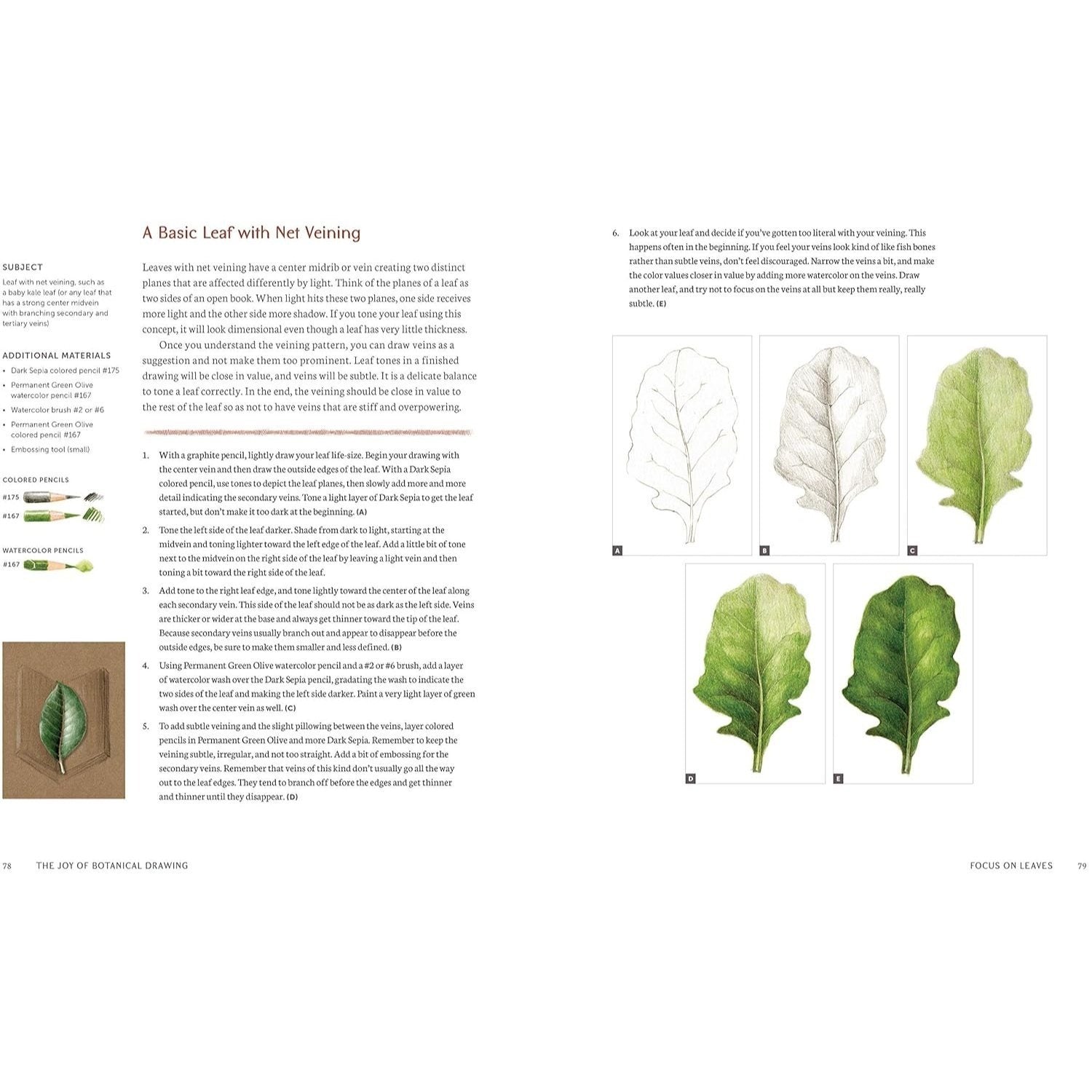 The Joy of Botanical Drawing: A Step-By-Step Guide to Drawing and Painting Flowers, Leaves, Fruit, and More