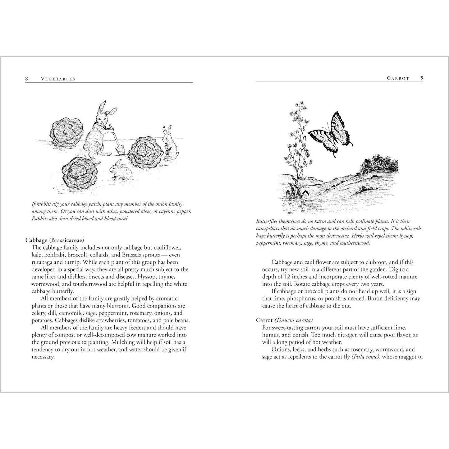 Carrots Love Tomatoes: Secrets of Companion Planting for Successful Gardening (Rev and Updated) (2ND ed.) (Spiral Bound)