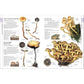 Mushrooms: How to Identify and Gather Wild Mushrooms and Other Fungi (Spiral Bound)