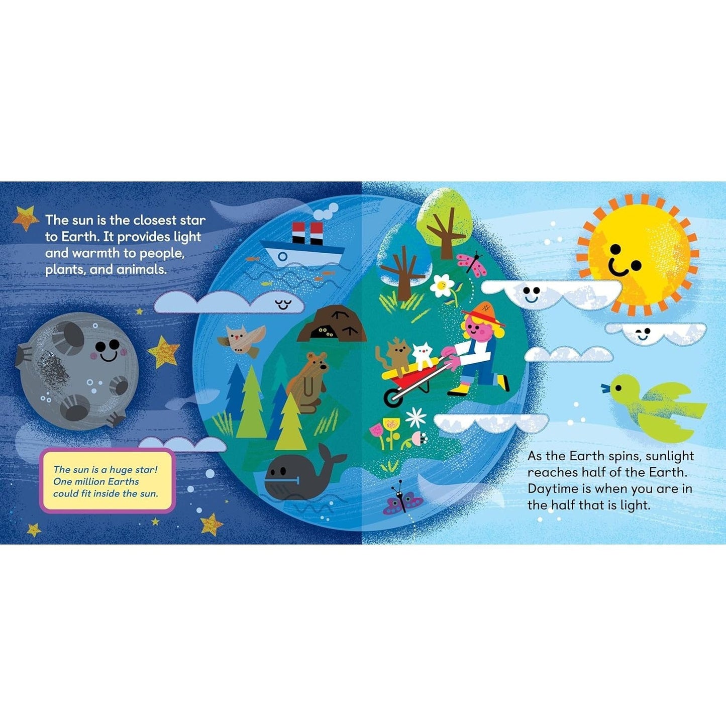 All about Nature: Animals, Insects, Plants, and More! (The All about Picture Book)