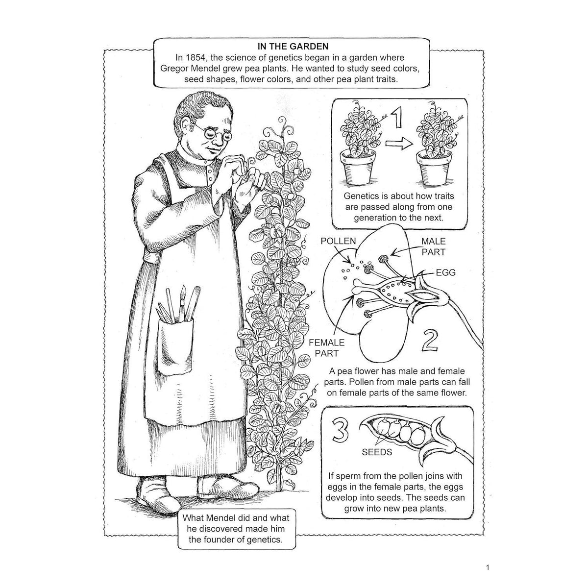My First Book about Genetics