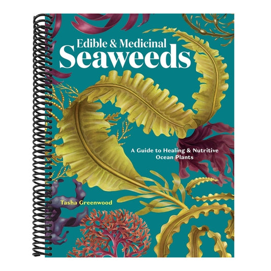 Edible & Medicinal Seaweeds: A Guide to Healing & Nutritive Ocean Plants