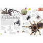 Everything You Need to Know about Bugs (Everything You Need to Know) (Spiral Bound)