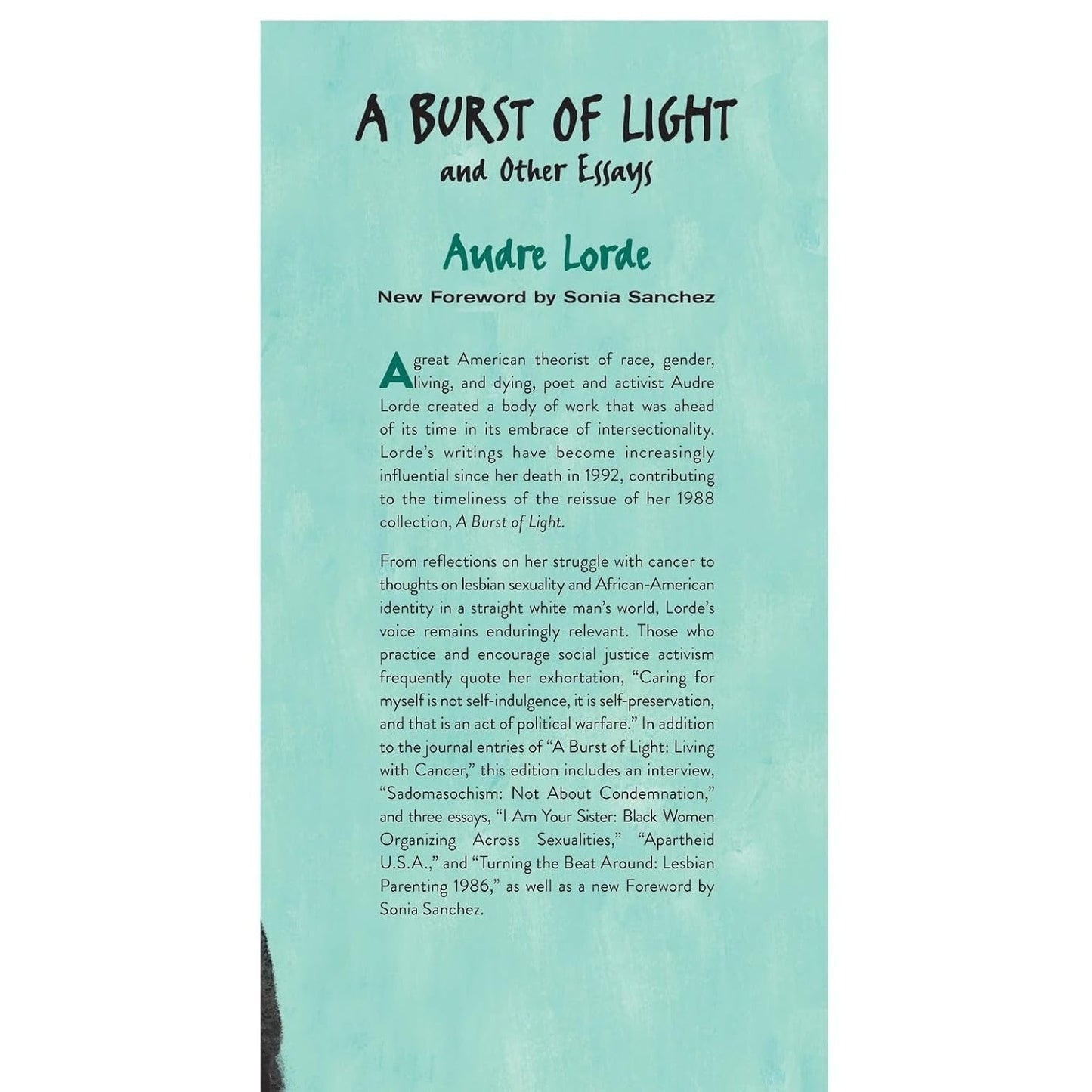 A Burst of Light and Other Essays