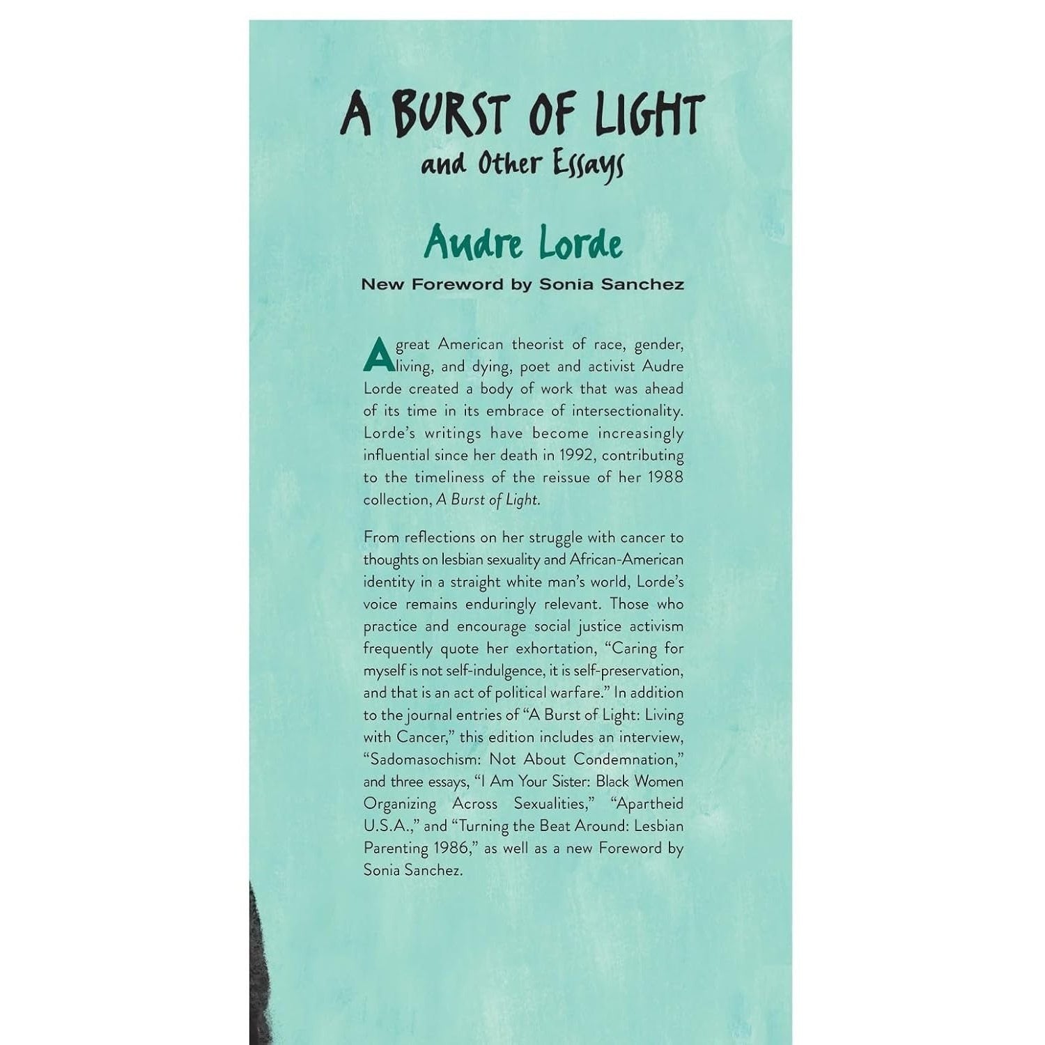 A Burst of Light and Other Essays