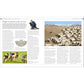 The Dog Encyclopedia: The Definitive Visual Guide (DK Pet Encyclopedias) (2ND ed.) (Spiral Bound)