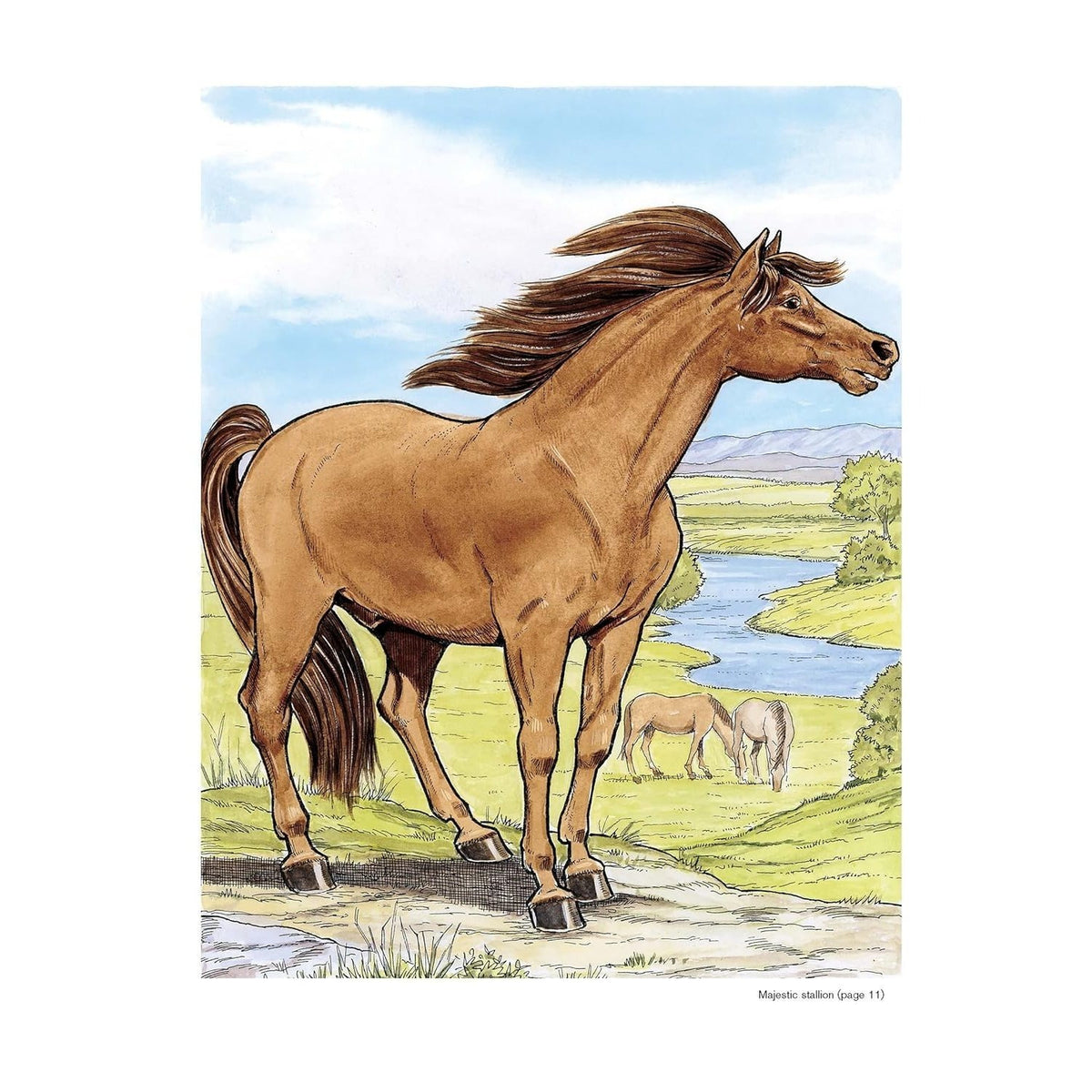 Wonderful World of Horses Coloring Book (Spiral Bound)