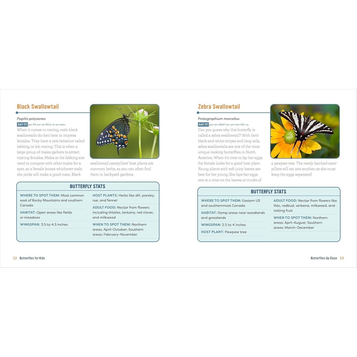 Butterflies for Kids: A Junior Scientist's Guide to the Butterfly Life Cycle and Beautiful Species to Discover