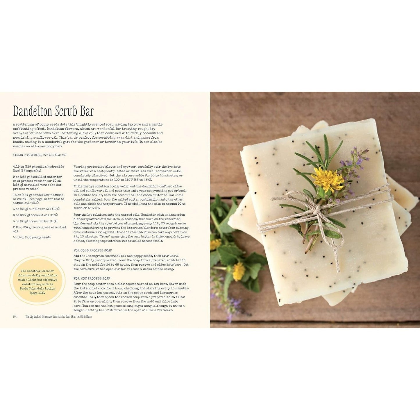 The Big Book of Homemade Products for Your Skin, Health and Home: Easy, All-Natural DIY Projects Using Herbs, Flowers and Other Plants