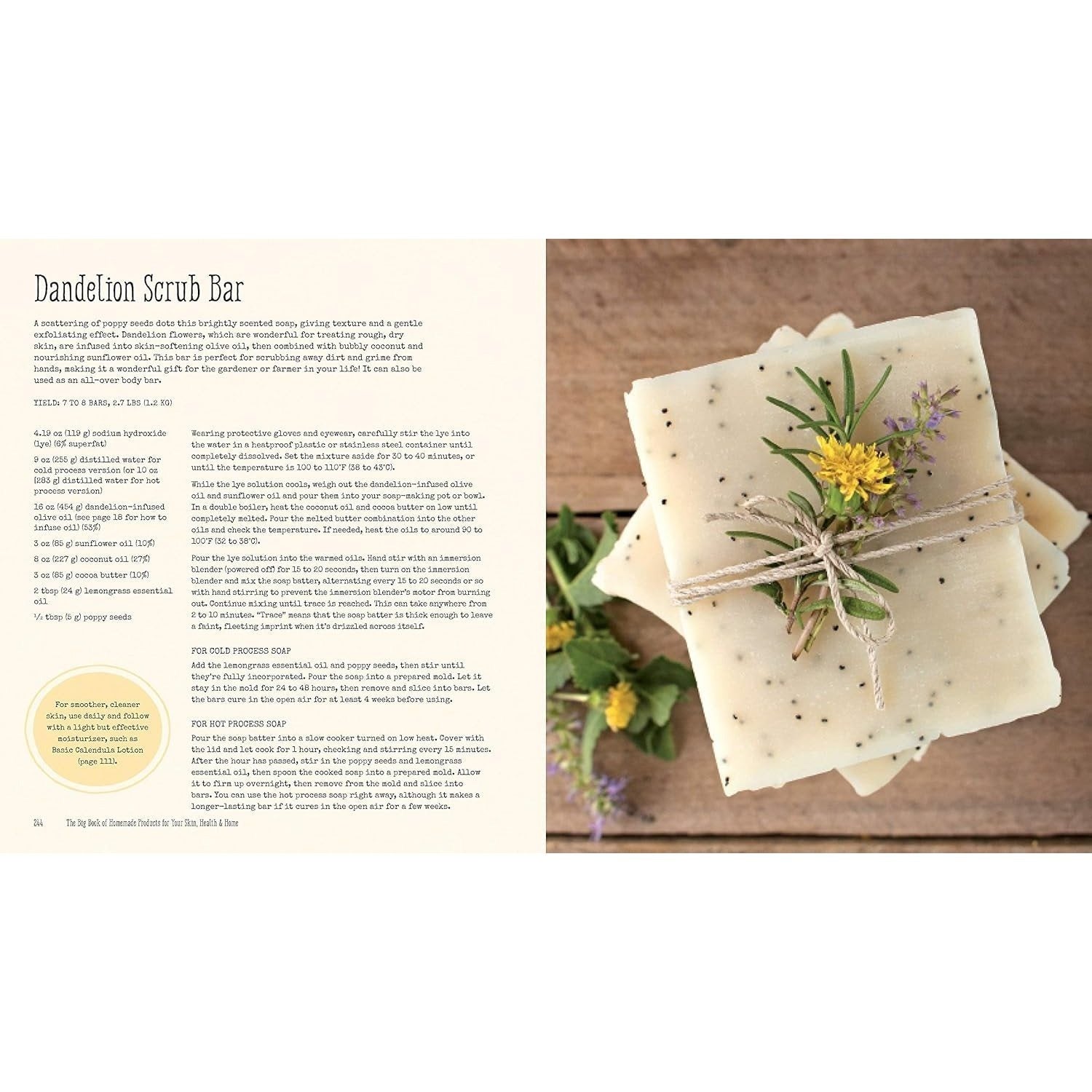 The Big Book of Homemade Products for Your Skin, Health and Home: Easy, All-Natural DIY Projects Using Herbs, Flowers and Other Plants
