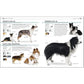 The Complete Dog Breed Book, New Edition (Previously Published as Top Dog) (DK Definitive Pet Breed Guides) (Spiral Bound)