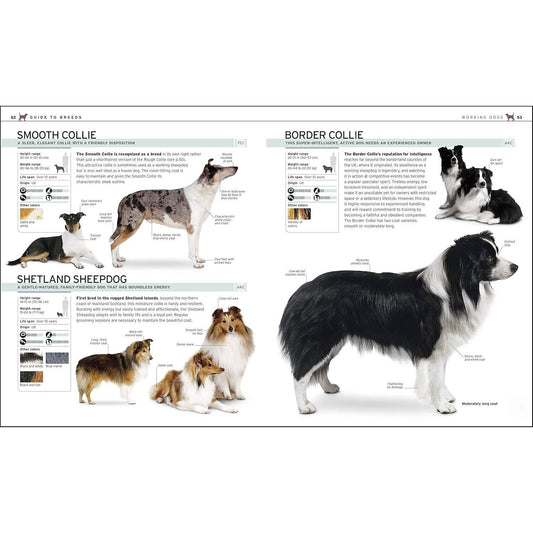 The Complete Dog Breed Book, New Edition (Previously Published as Top Dog) (DK Definitive Pet Breed Guides) (Spiral Bound)
