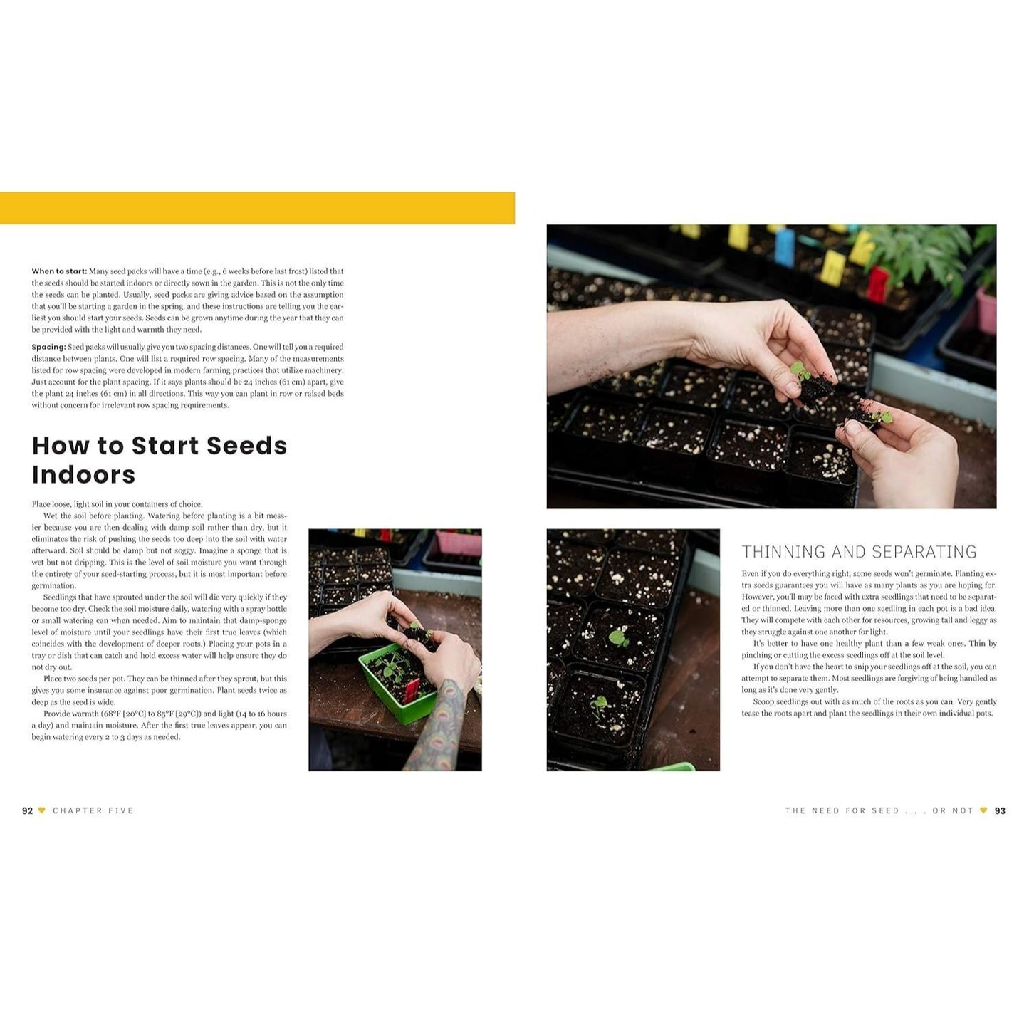 The First-Time Gardener: Growing Vegetables: All the Know-How and Encouragement You Need to Grow - And Fall in Love With! - Your Brand New Food Garden (The First-Time Gardener's Guides #1) (Spiral Bound)
