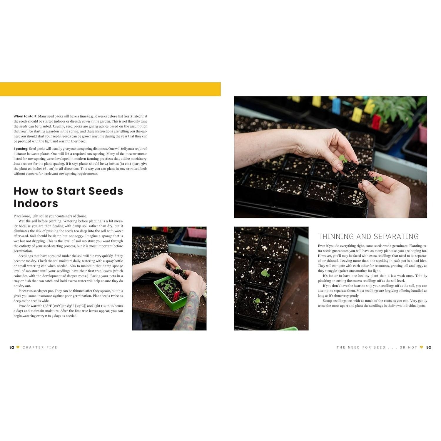 The First-Time Gardener: Growing Vegetables: All the Know-How and Encouragement You Need to Grow - And Fall in Love With! - Your Brand New Food Garden (The First-Time Gardener's Guides #1) (Spiral Bound)