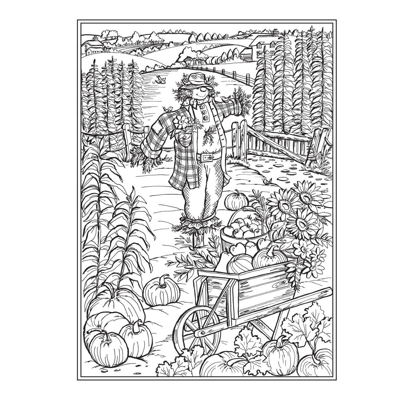 Creative Haven Country Farm Scenes Coloring Book