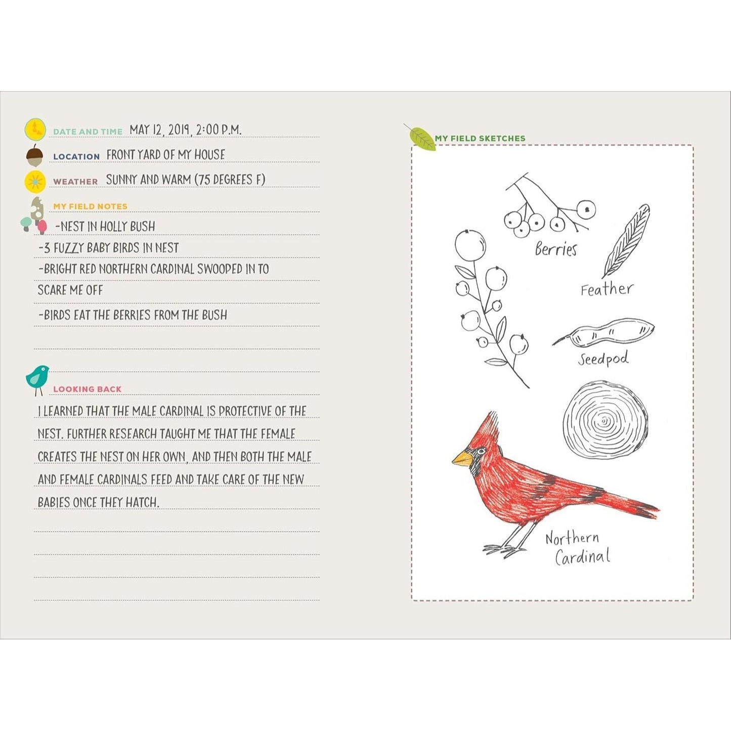 Exploring Nature Journal for Kids: Observe and Record the Outdoors