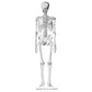 An Atlas of Anatomy for Artists: 189 Plates: Enlarged Revised Edition with 85 New Plates from Leonardo, Rubens, Michelangelo, Muybridge, Vesalius, Et Al.