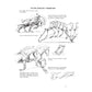 The Art of Animal Drawing: Construction, Action Analysis, Caricature (Revised)