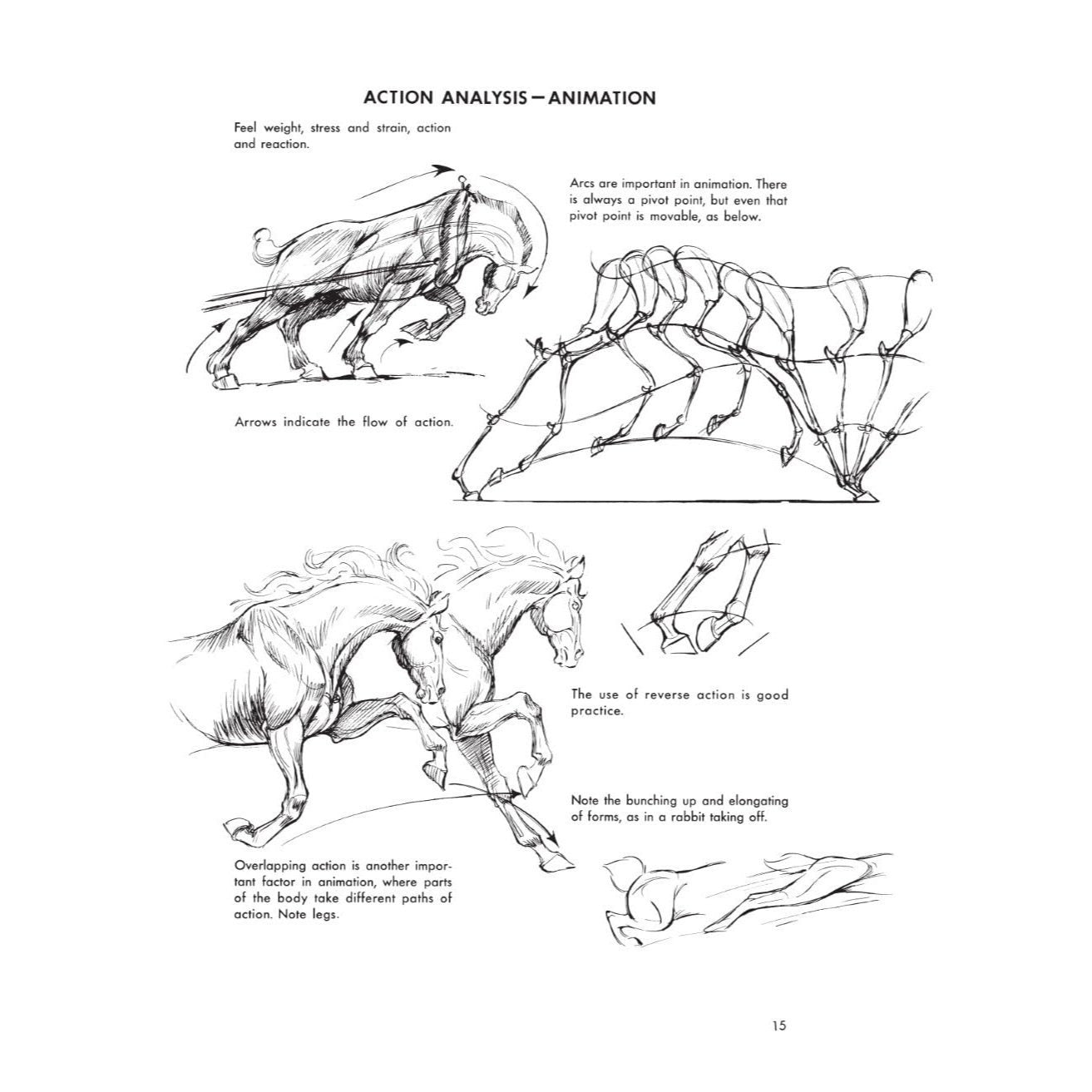 The Art of Animal Drawing: Construction, Action Analysis, Caricature (Revised)