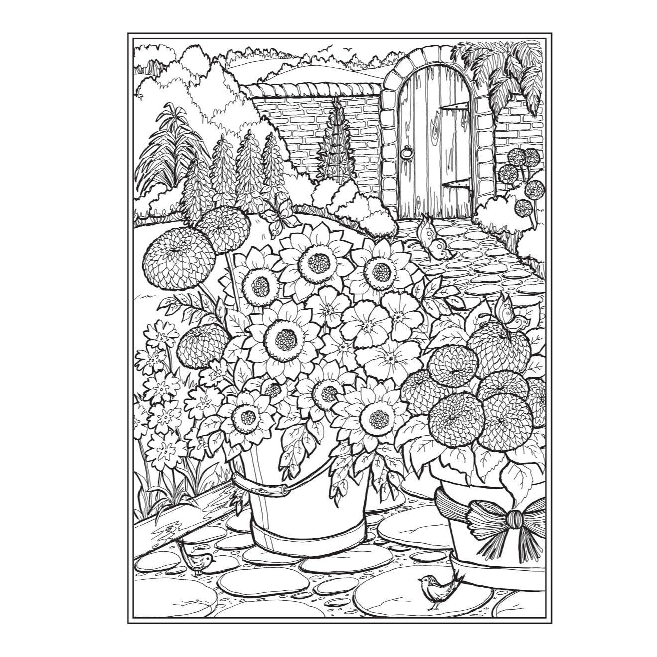 Creative Haven Country Gardens Coloring Book