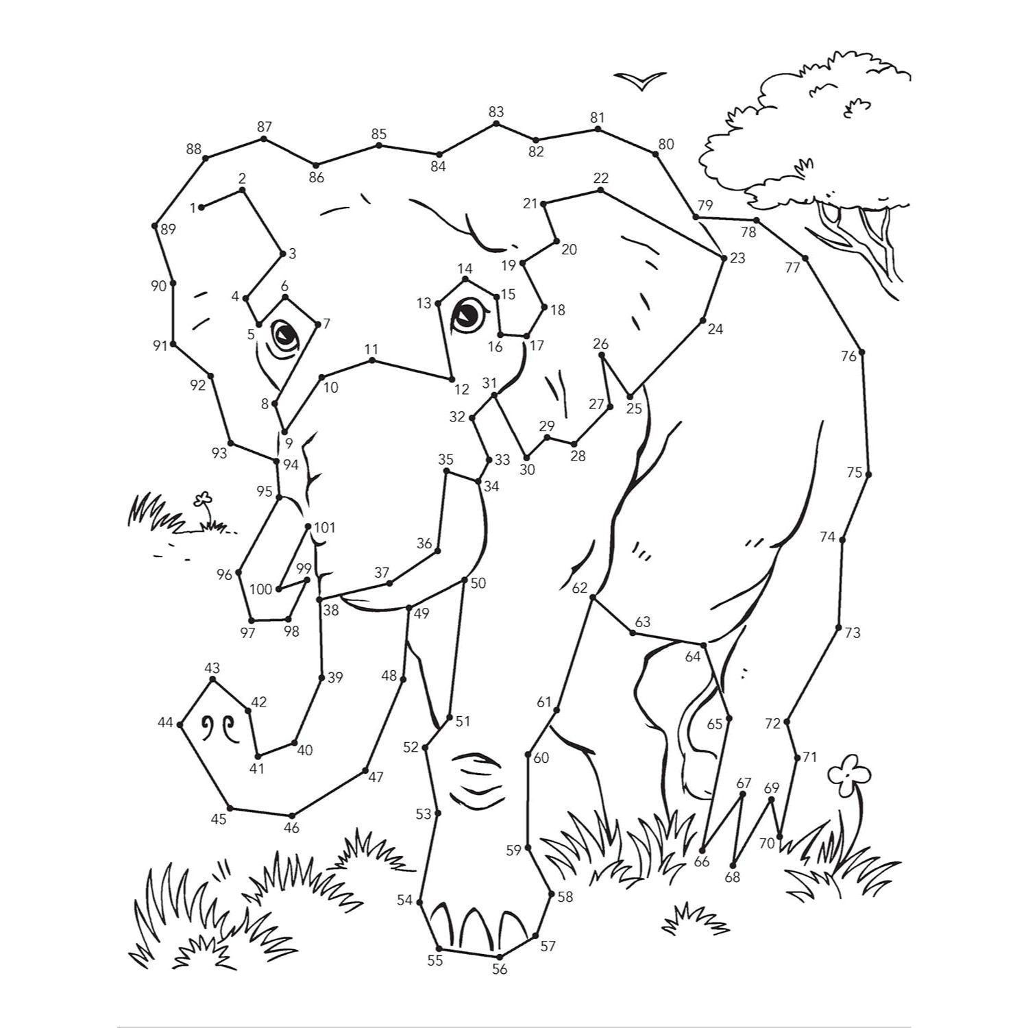 Wild Animals Dot-To-Dot Fun!: Count from 1 to 101