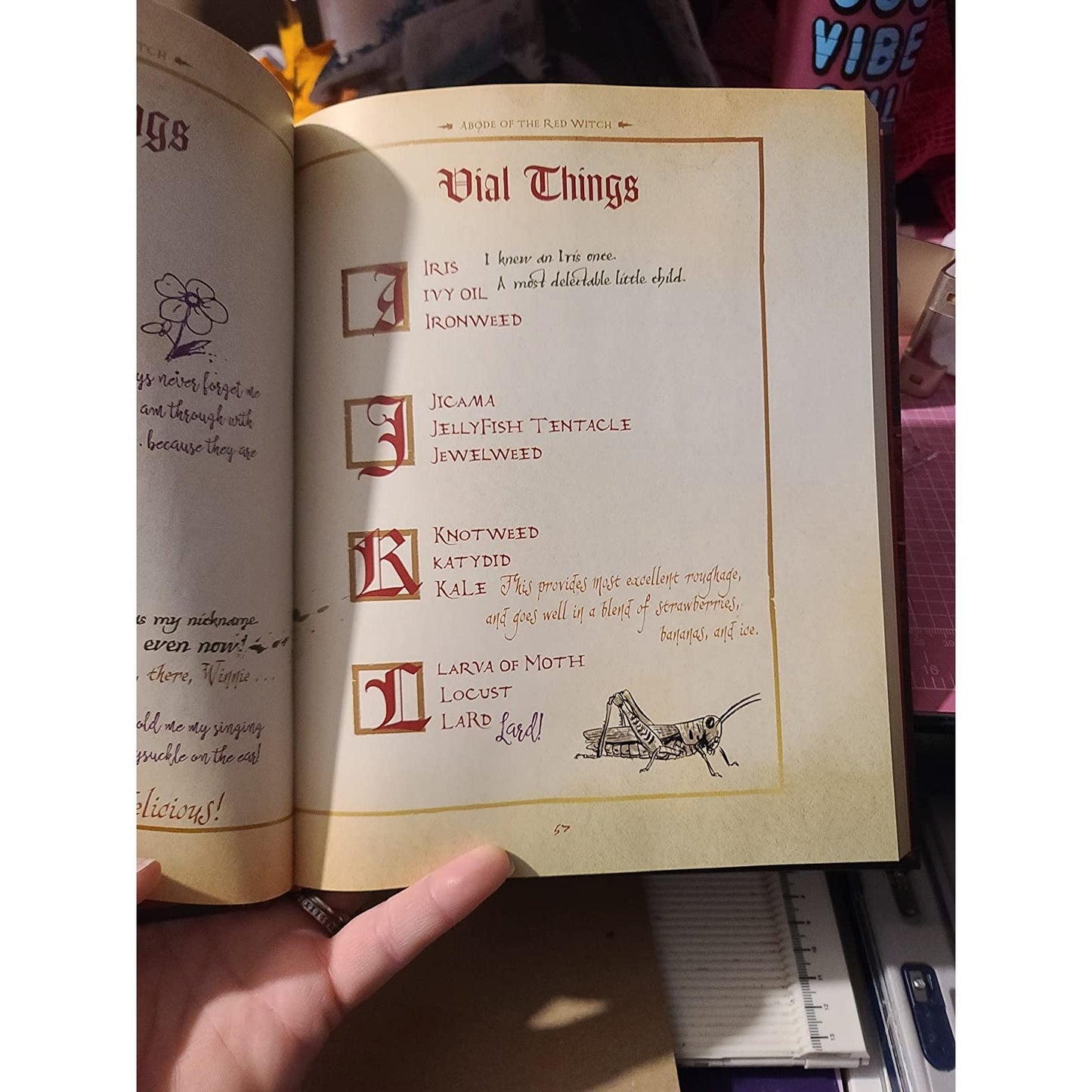The Hocus Pocus Spell Book (Spiral Bound)