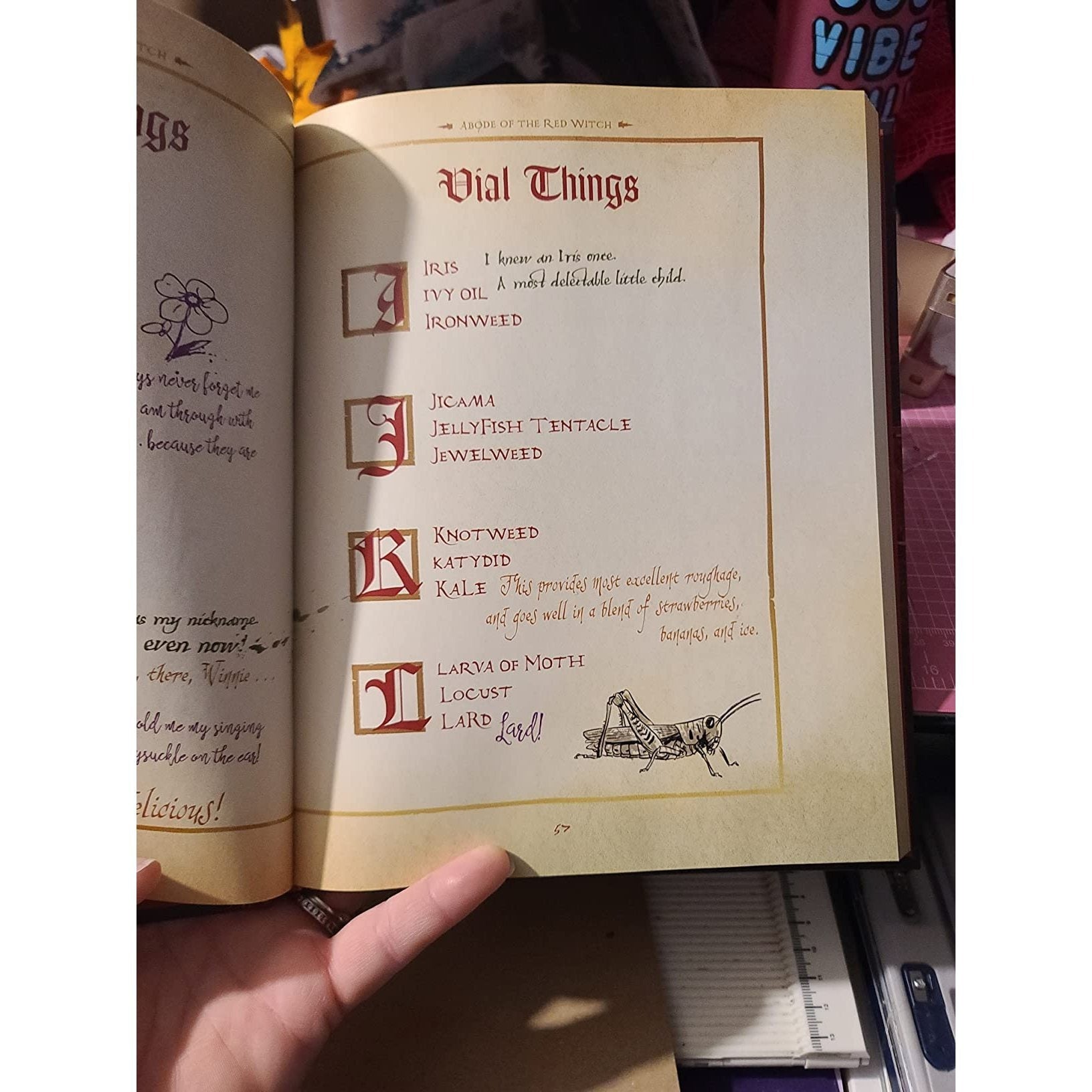 The Hocus Pocus Spell Book (Spiral Bound)