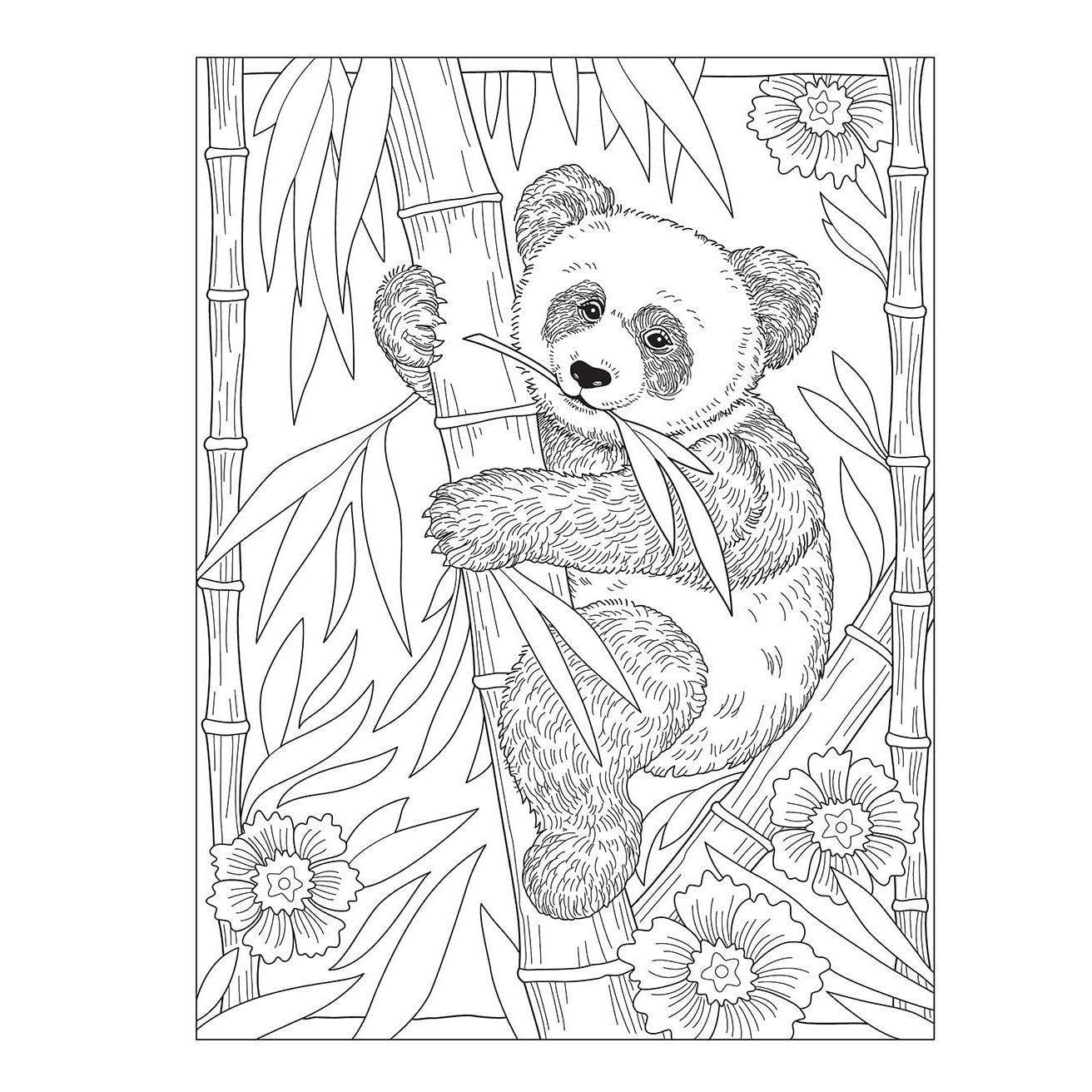 Creative Haven Wondrous Wildlife Coloring Book