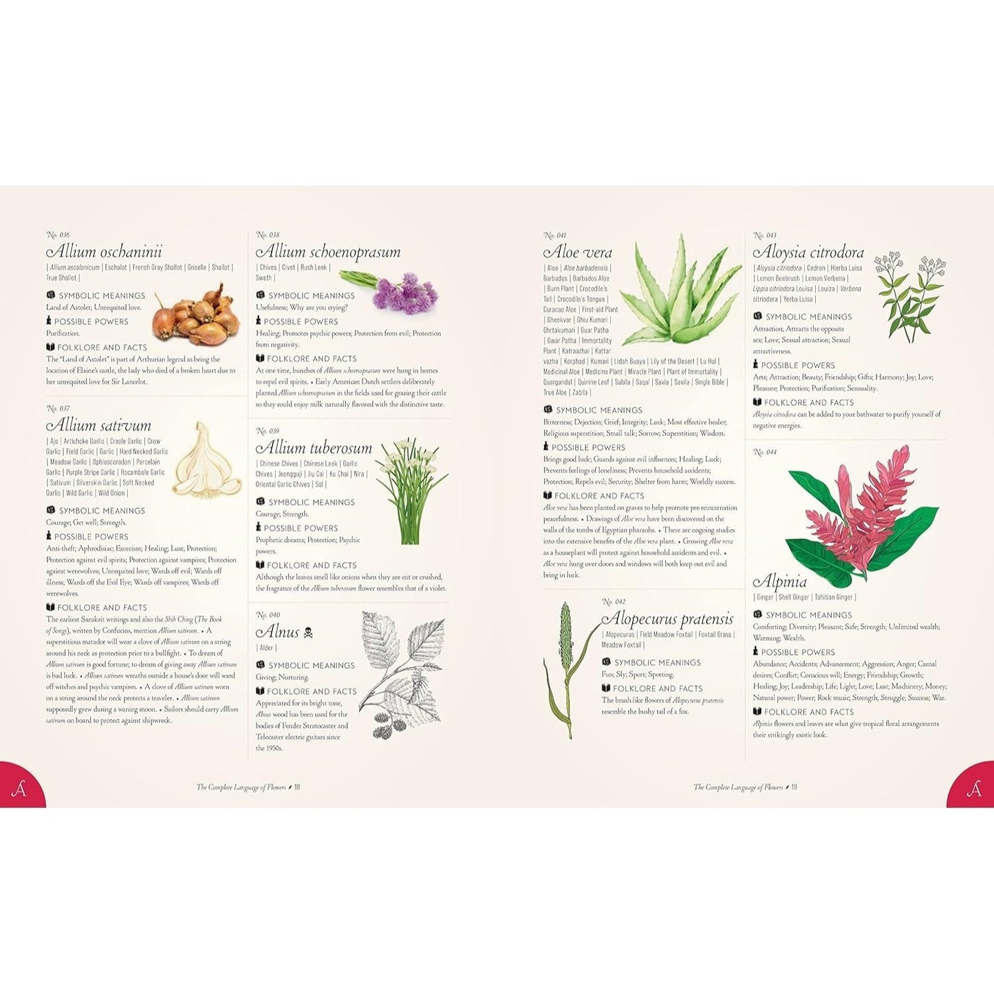 The Complete Language of Flowers: A Definitive and Illustrated History - Pocket Edition (Spiral Bound)