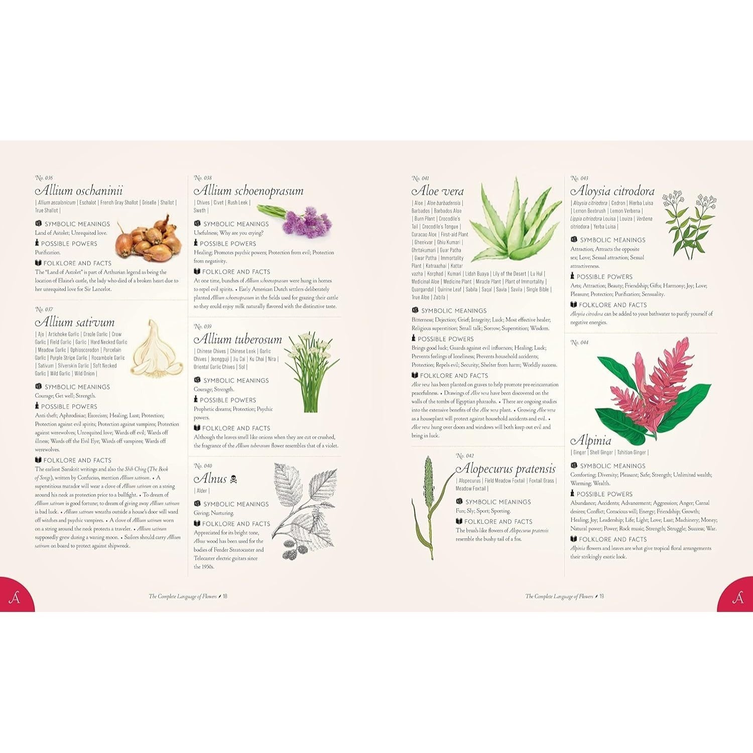 The Complete Language of Flowers: A Definitive and Illustrated History - Pocket Edition (Spiral Bound)