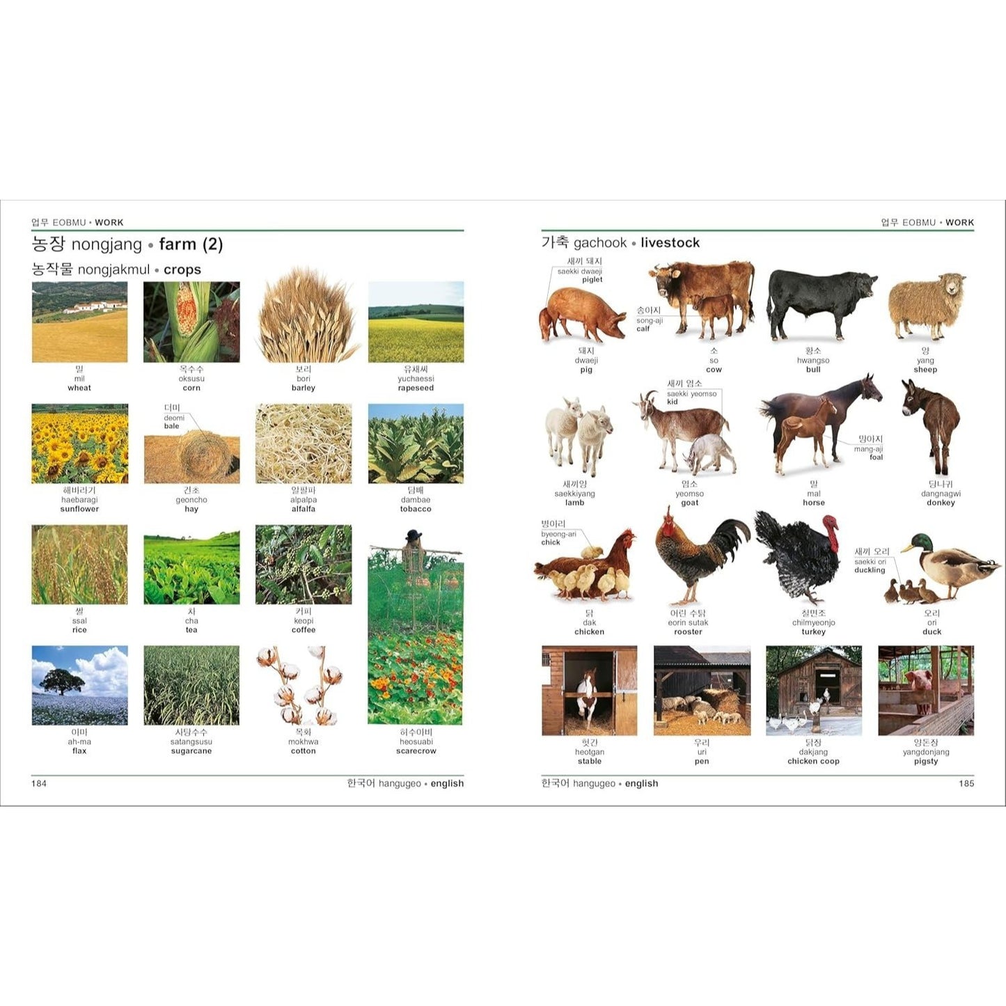 Korean - English Bilingual Visual Dictionary