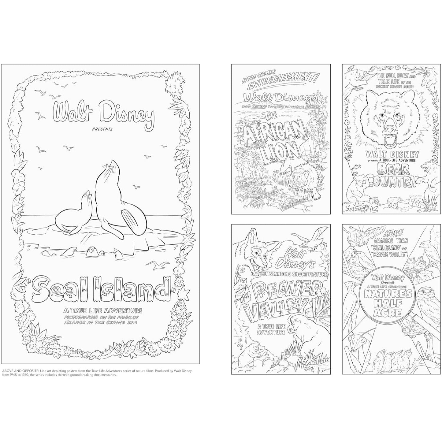 Art of Coloring: Disney 100 Years of Wonder: 100 Images to Inspire Creativity (Spiral Bound)