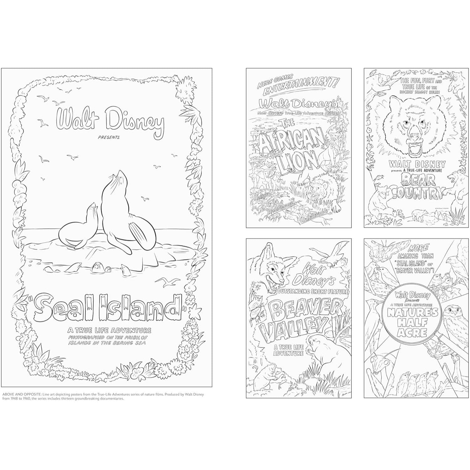 Art of Coloring: Disney 100 Years of Wonder: 100 Images to Inspire Creativity (Spiral Bound)