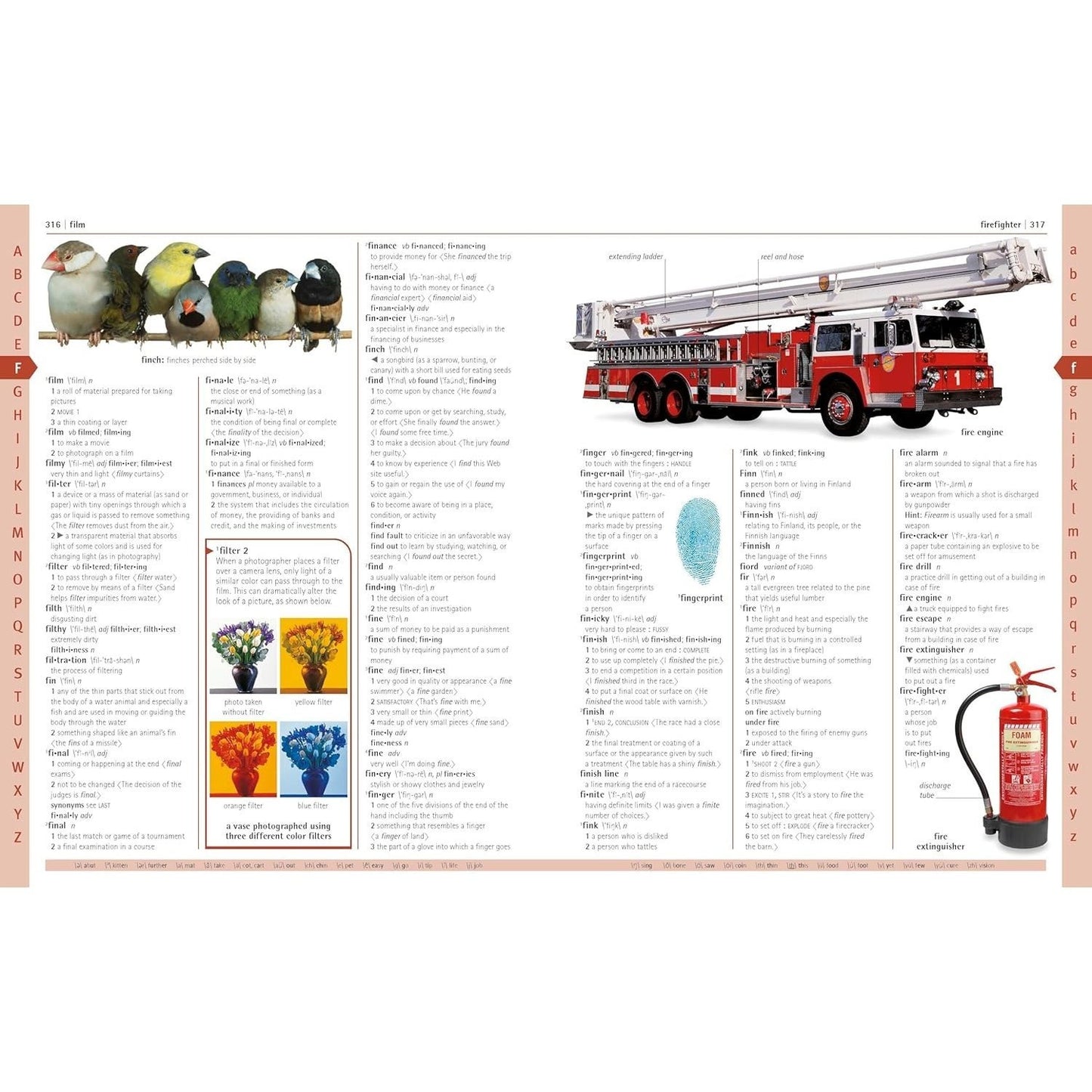 Merriam-Webster Children's Dictionary, New Edition: Features 3,000 Photographs and Illustrations (Spiral Bound)