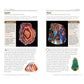 National Geographic Pocket Guide to Rocks and Minerals of North America (Pocket Guides) (Spiral Bound)