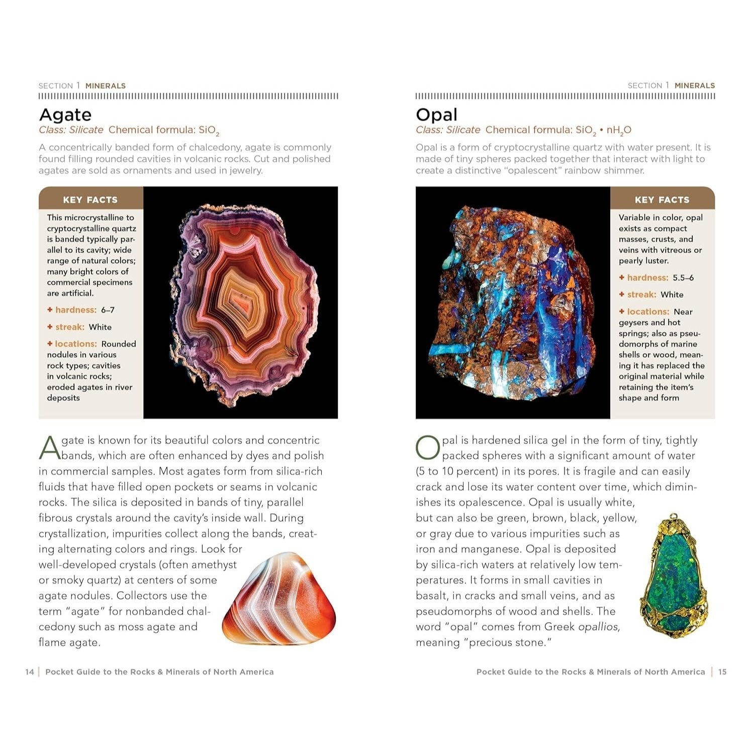National Geographic Pocket Guide to Rocks and Minerals of North America (Pocket Guides) (Spiral Bound)
