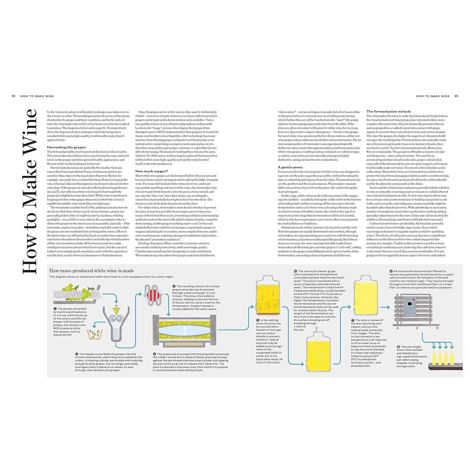 The World Atlas of Wine 8th Edition
