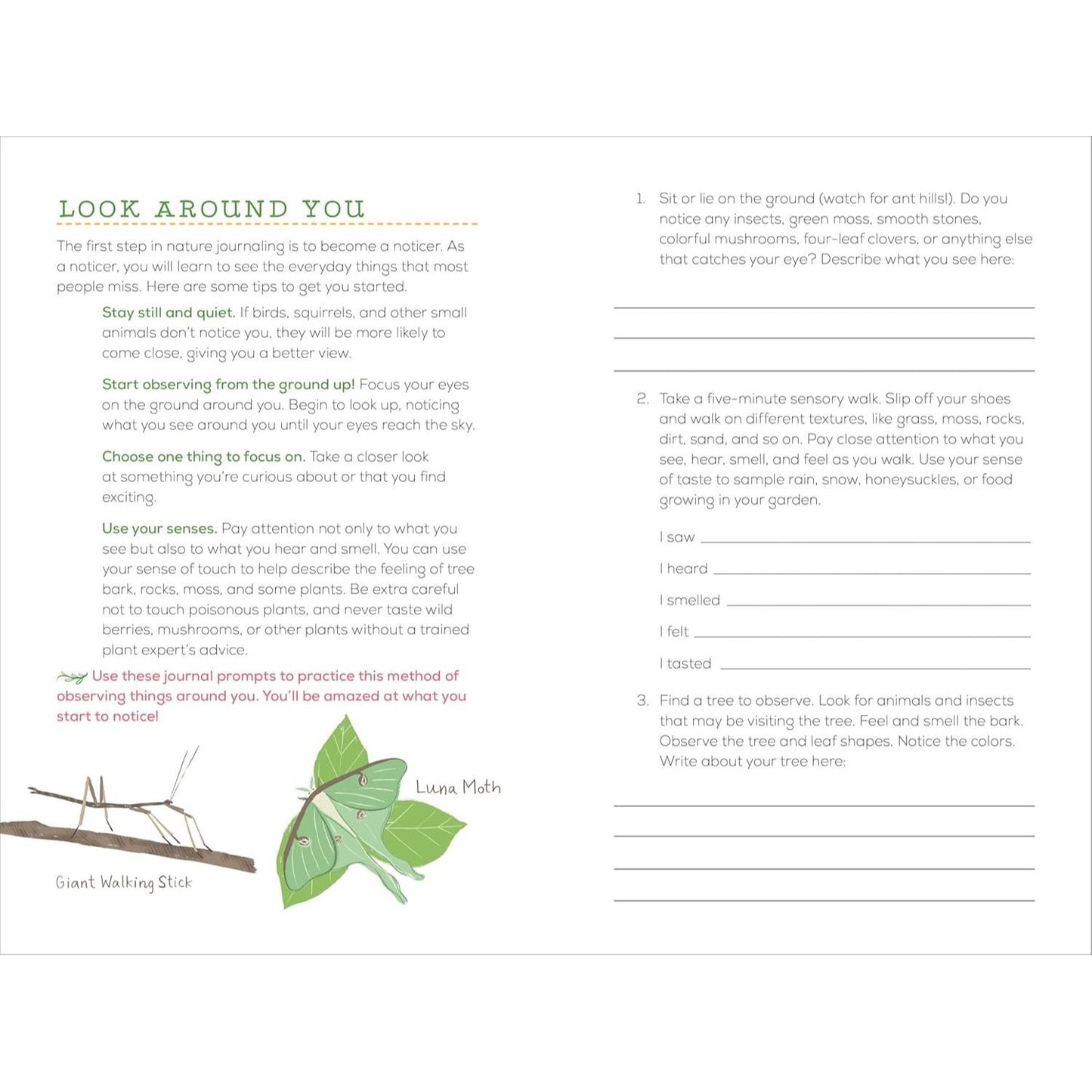 Exploring Nature Journal for Kids: Observe and Record the Outdoors