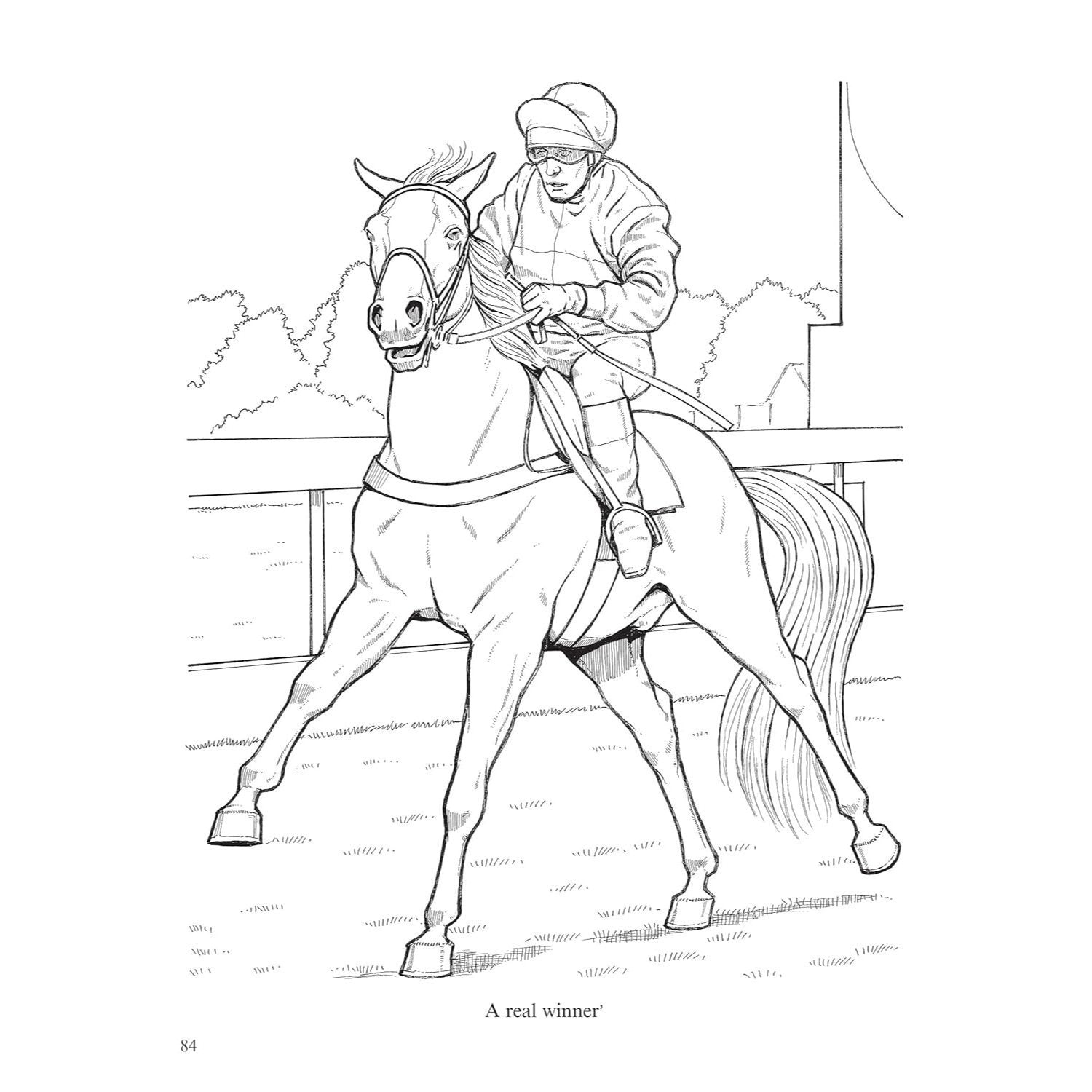 Big Book of Horses to Color