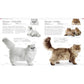 The Cat Encyclopedia: The Definitive Visual Guide (DK Pet Encyclopedias) (Spiral Bound)