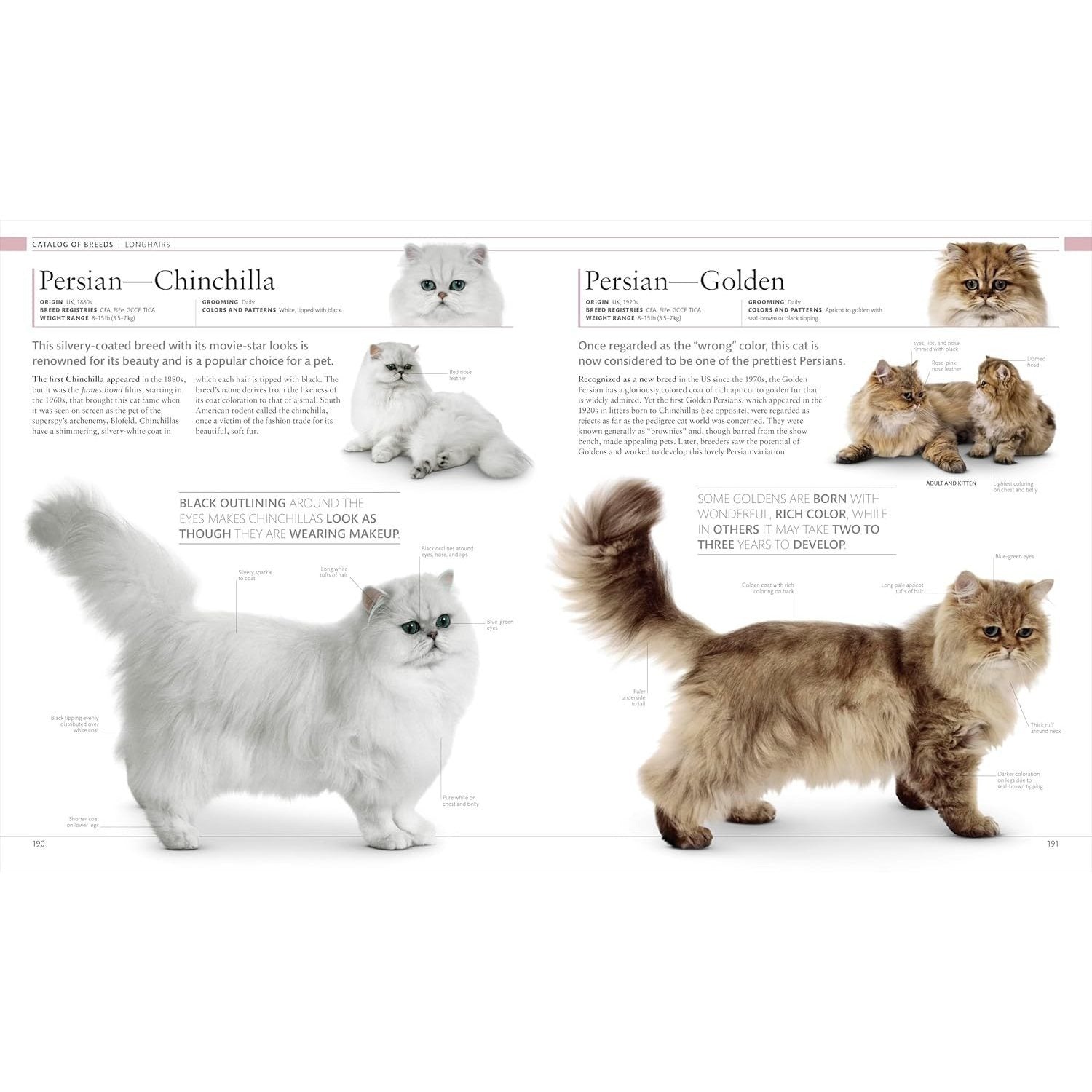 The Cat Encyclopedia: The Definitive Visual Guide (DK Pet Encyclopedias) (Spiral Bound)