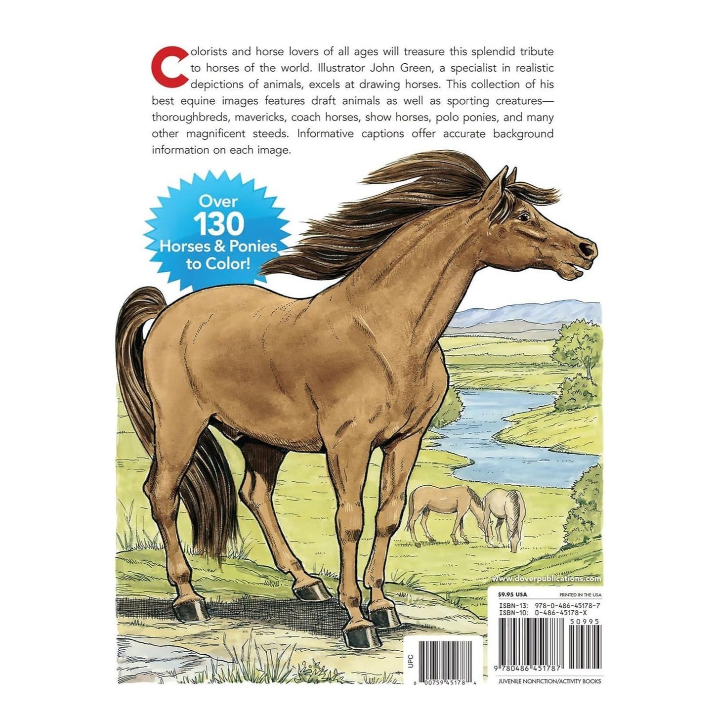 Big Book of Horses to Color