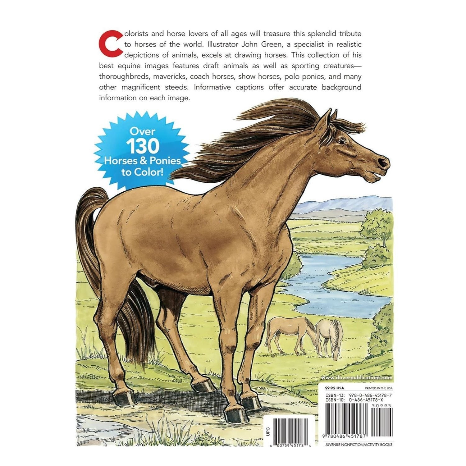 Big Book of Horses to Color